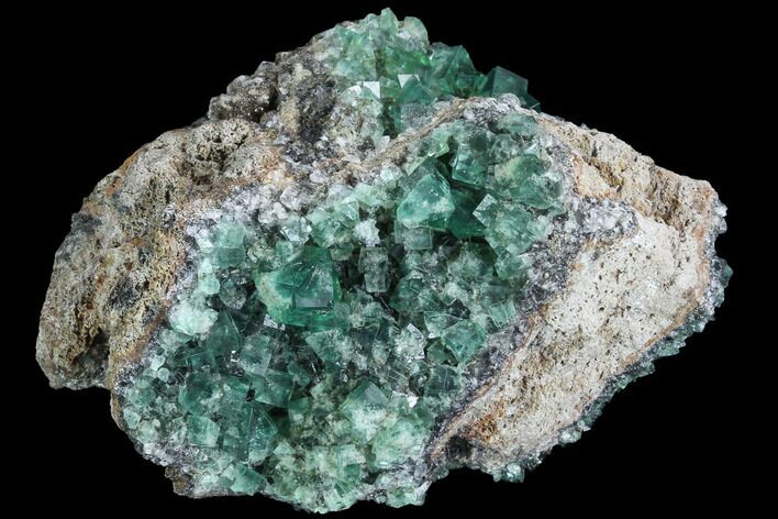 Fluorescent, Green Fluorite Crystal Cluster - Rogerley Mine #99455